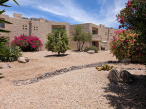 The lush desert courtyard surrounding Unit 144 provides a peaceful setting with mature landscaping, flowering plants, and classic Southwestern architecture within the JW Marriott Camelback Inn Resort.