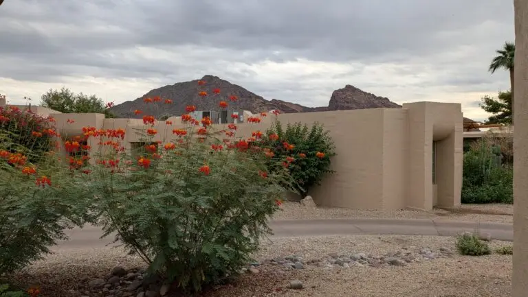Camelback Mountain viewed through colorful desert landscaping and flowering plants at Camelback Inn in Scottsdale, Arizona, where Unit 279 is offered for sale.